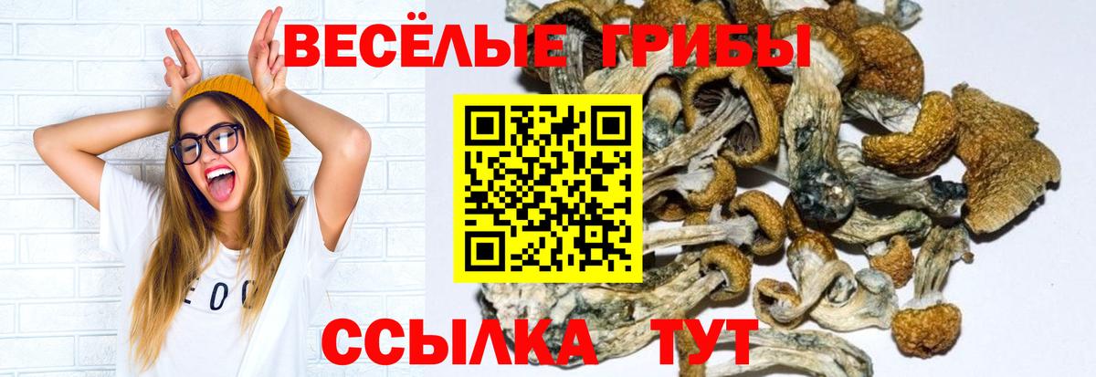 Псилоцибиновые грибы Psilocybine cubensis  наркотики  Астрахань  Галлюциногенные грибы GOLDEN TEACHER  Вход с VPN 